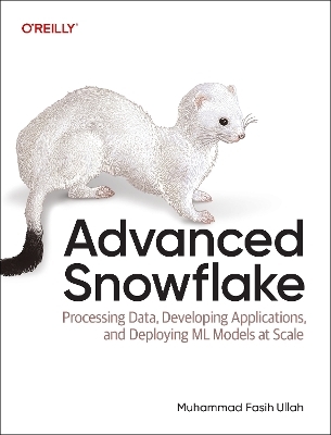 Advanced Snowflake - Muhammad Fasih Ullah