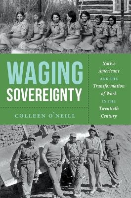 Waging Sovereignty - Colleen O&rsquo;Neill