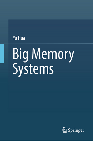 Big Memory Systems