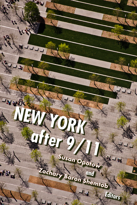 New York After 9/11 - 