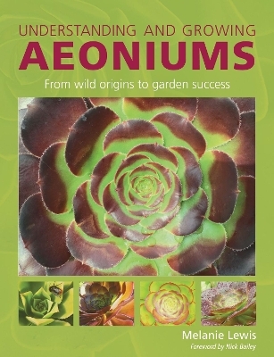 Understanding and Growing Aeoniums - Melanie Lewis