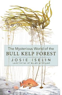 The Mysterious World of the Bull Kelp Forest