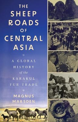 The Sheep Roads of Central Asia - Magnus Marsden