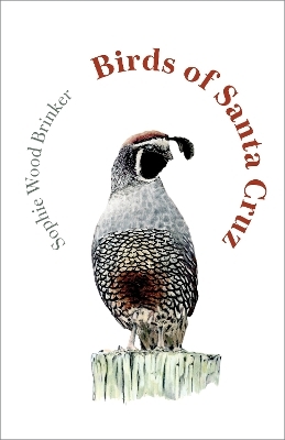 Birds of Santa Cruz - Sophie Wood Brinker