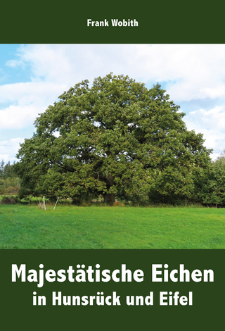 Majestätische Eichen in Hunsrück und Eifel
