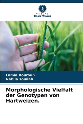 Morphologische Vielfalt der Genotypen von Hartweizen.