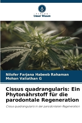 Cissus quadrangularis