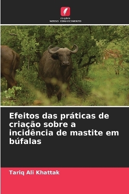 Efeitos das práticas de criação sobre a incidência de mastite em búfalas