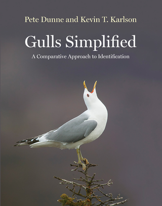 Gulls Simplified
