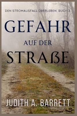 Gefahr auf der Stra&szlig;e - Judith a Barrett
