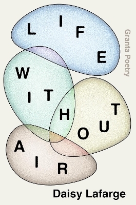 Life Without Air - Daisy Lafarge