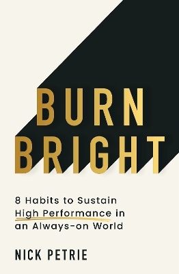 Burn Bright - Nick Petrie