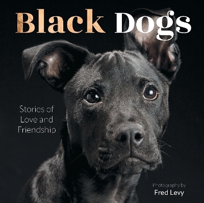 Black Dogs - Fred Levy