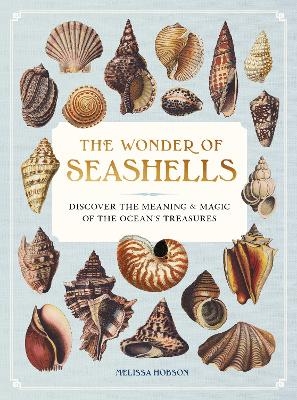 The Wonder of Seashells - Melissa Hobson