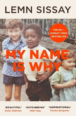 My Name Is Why - Lemn Sissay