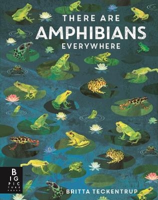 There Are Amphibians Everywhere - Camilla de la Bedoyere