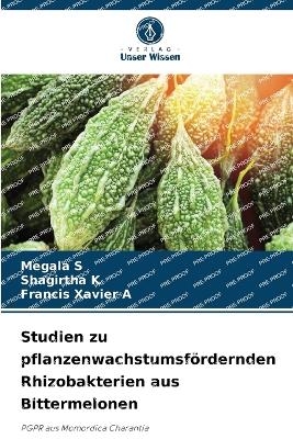 Studien zu pflanzenwachstumsfördernden Rhizobakterien aus Bittermelonen