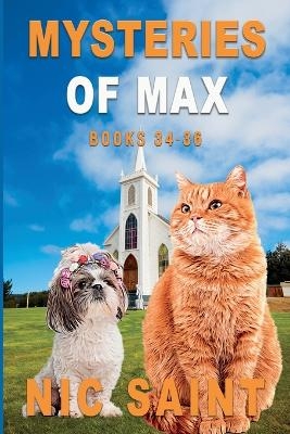 Mysteries of Max - Nic Saint