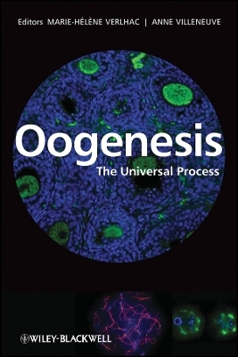 Oogenesis – The Universal Process