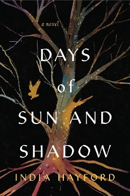 Days of Sun and Shadow - India Hayford