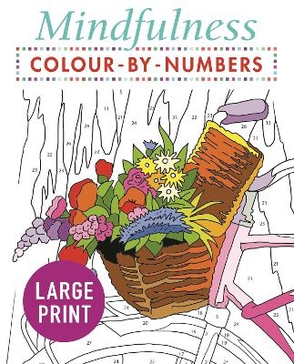 Mindfulness Colour-by-Numbers Large Print -  Arcturus Publishing Limited
