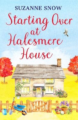 Starting Over at Halesmere House - Suzanne Snow