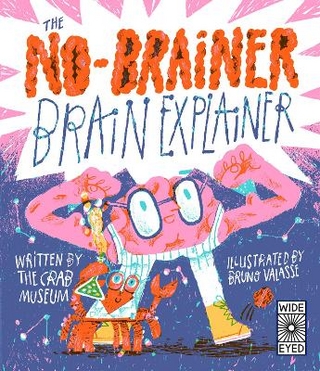 The No-Brainer Brain Explainer