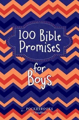 100 Bible Promises for Boys