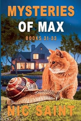 Mysteries of Max - Nic Saint