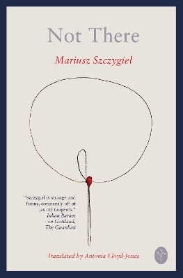 Not There - Mariusz Szczygiel