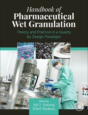 Handbook of Pharmaceutical Wet Granulation - 