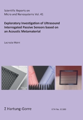 Exploratory Investigation of Ultrasound Interrogated Passive Sensors based on an Acoustic Metamaterial - Lucrezia Maini