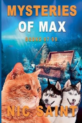 Mysteries of Max - Nic Saint