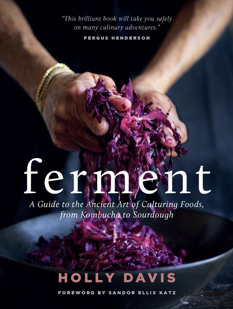 Ferment -  Holly Davis