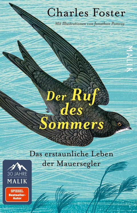 Der Ruf des Sommers - Charles Foster