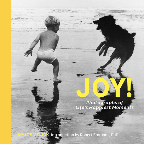 Joy! -  Bruce Velick