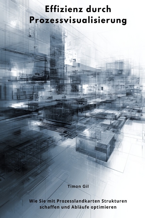 Effizienz durch Prozessvisualisierung - Timon Gil