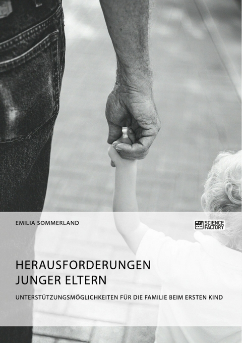 Herausforderungen junger Eltern. Unterst&uuml;tzungsm&ouml;glichkeiten f&uuml;r die Familie beim ersten Kind -  Emilia Sommerland
