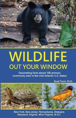 Wildlife Out Your Window - Brad Timm