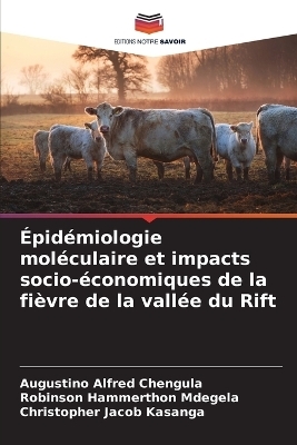 Épidémiologie moléculaire et impacts socio-économiques de la fièvre de la vallée du Rift
