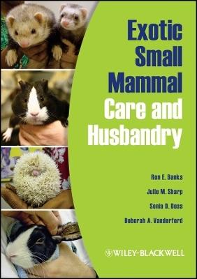 Small Mammal Care and Husbandry -  BANKS