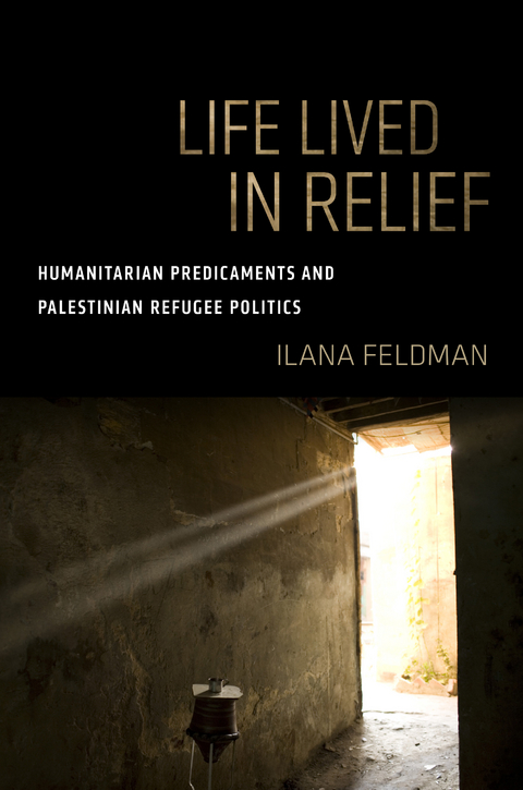 Life Lived in Relief -  Ilana Feldman