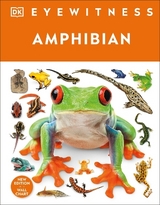 Eyewitness Amphibian - Dk