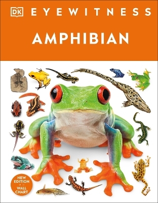 Eyewitness Amphibian -  Dk