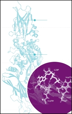 Advances in Enzymology and Related Areas of Molecu lar Biology, Volume 78 - 