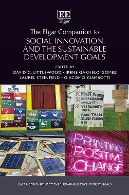 The Elgar Companion to Social Innovation and the Sustainable Development Goals - 