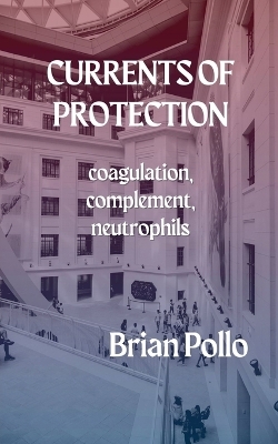 Currents of Protection - Brian Pollo