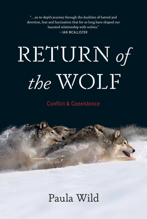 Return of the Wolf -  Paula Wild