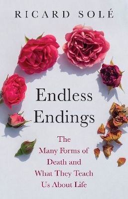 Endless Endings - Ricard Solé