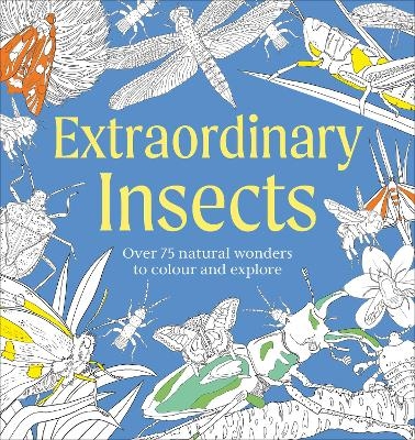Extraordinary Insects Colouring Book -  Dk